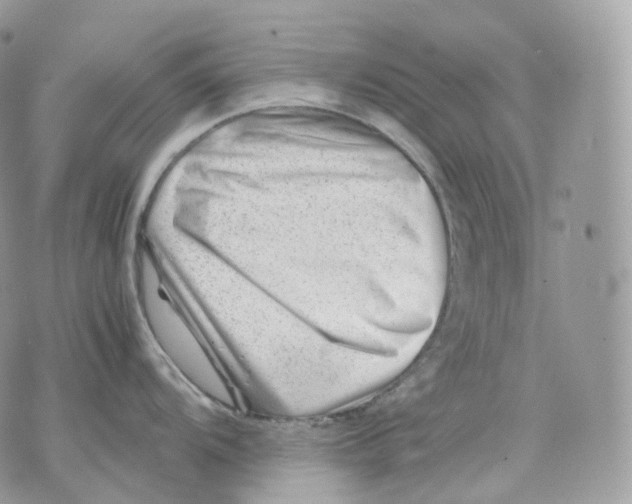 X0000075361104200609291454