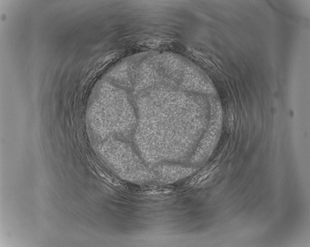 X0000075361105200609291454