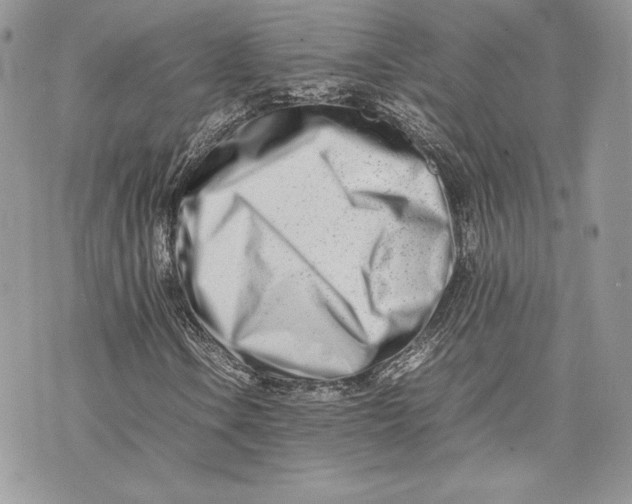 X0000075361106200609291454