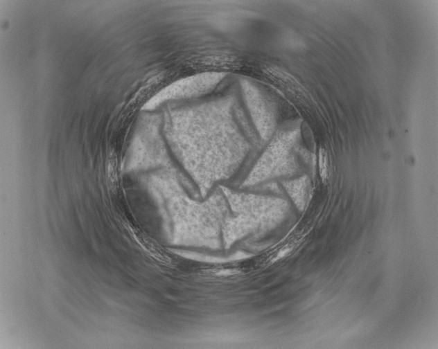 X0000075361107200609291454