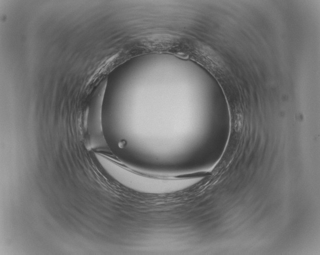 X0000075361108200609291454