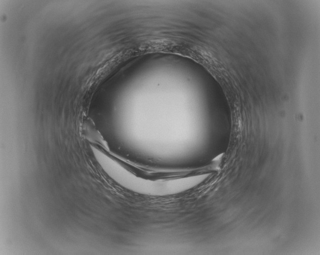 X0000075361109200609291454