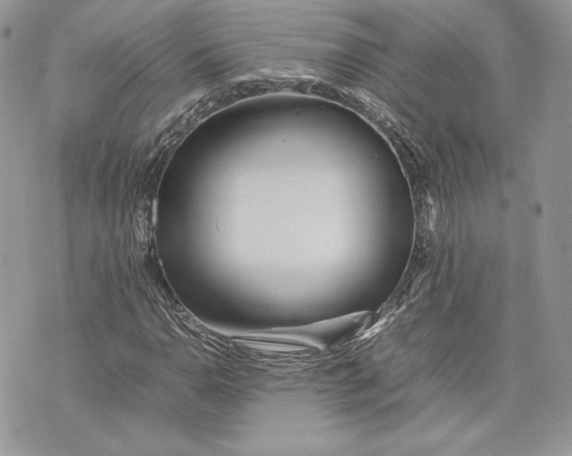 X0000075361110200609291454