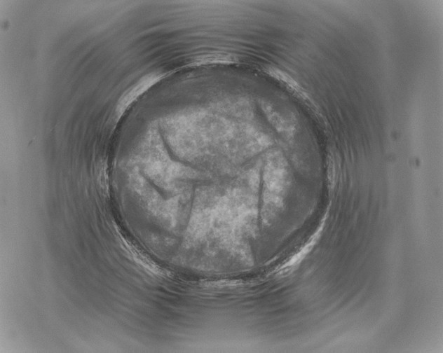 X0000075361113200609291454