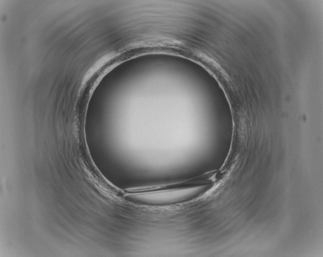 X0000075361114200609291454