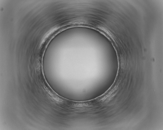 X0000075361115200609291454