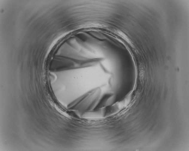 X0000075361116200609291454