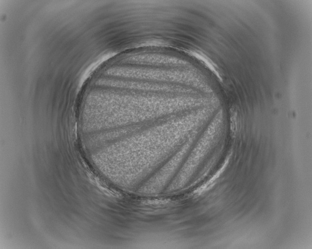 X0000075361117200609291454