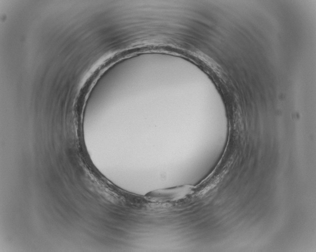 X0000075361118200609291454