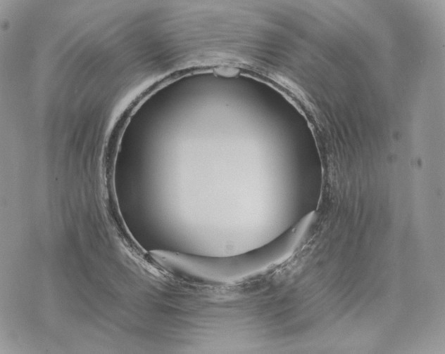 X0000075361120200609291454