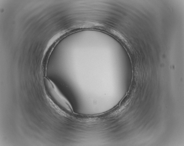 X0000075361122200609291454