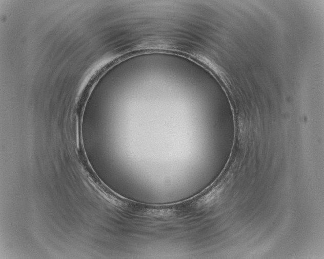 X0000075361123200609291454