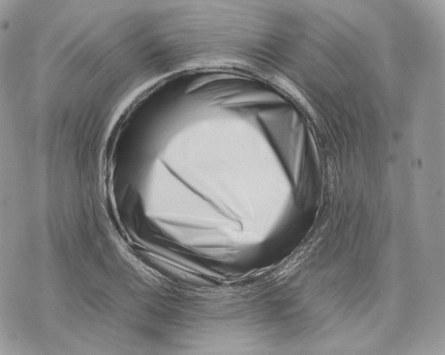 X0000075361124200609291454