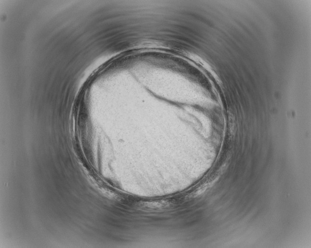 X0000075361125200609291454