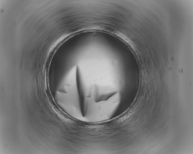 X0000075361127200609291454