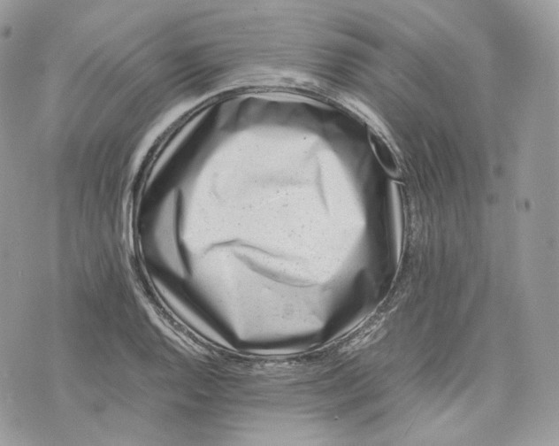 X0000075361128200609291454