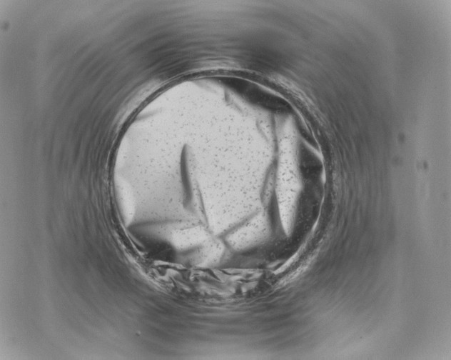 X0000075361129200609291454