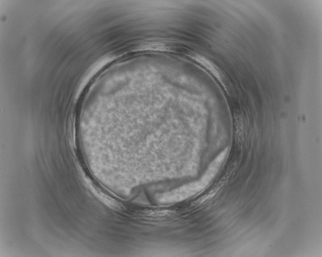 X0000075361131200609291454