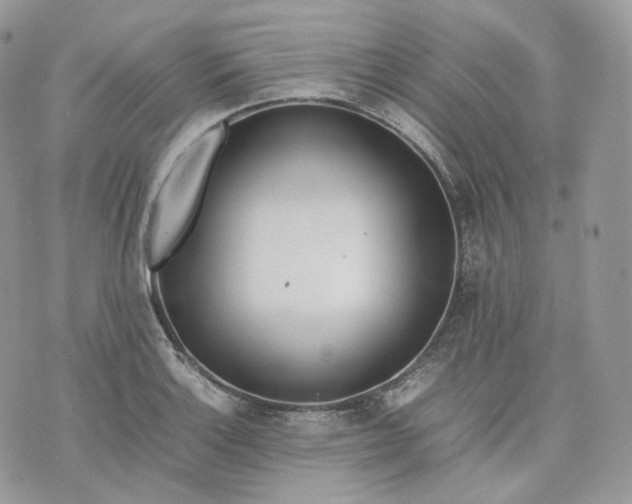 X0000075361132200609291454