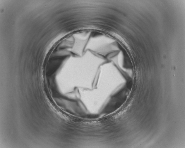 X0000075361133200609291454