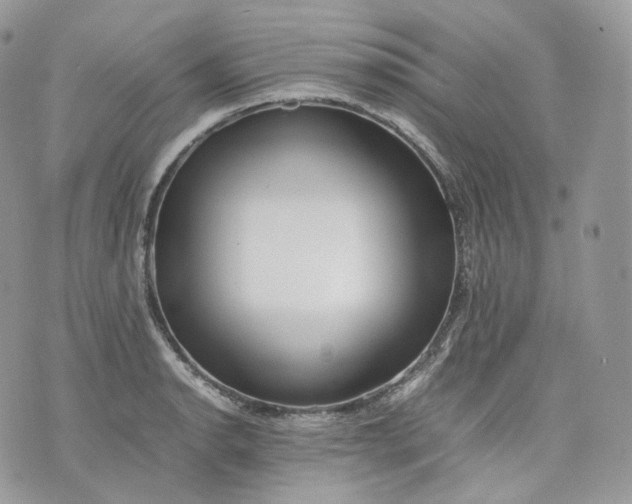 X0000075361134200609291454