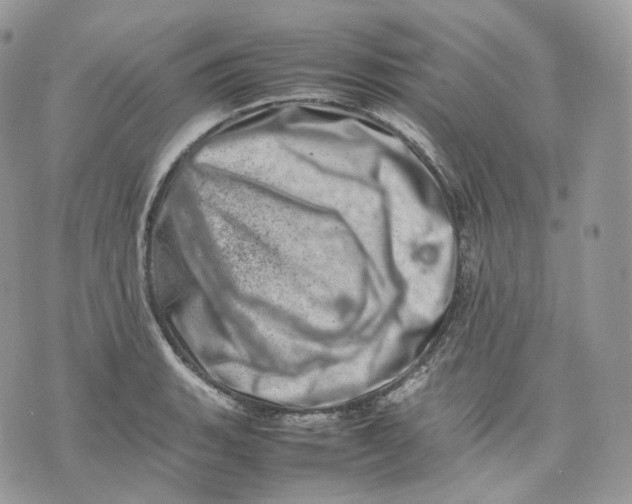 X0000075361135200609291454