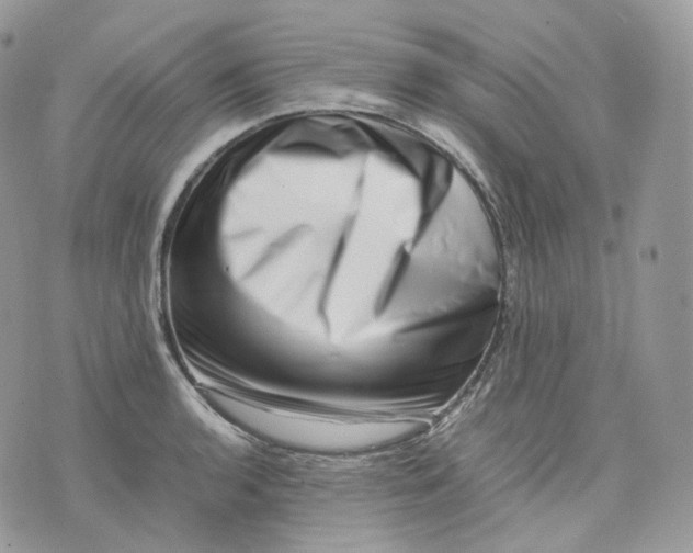 X0000075361136200609291454