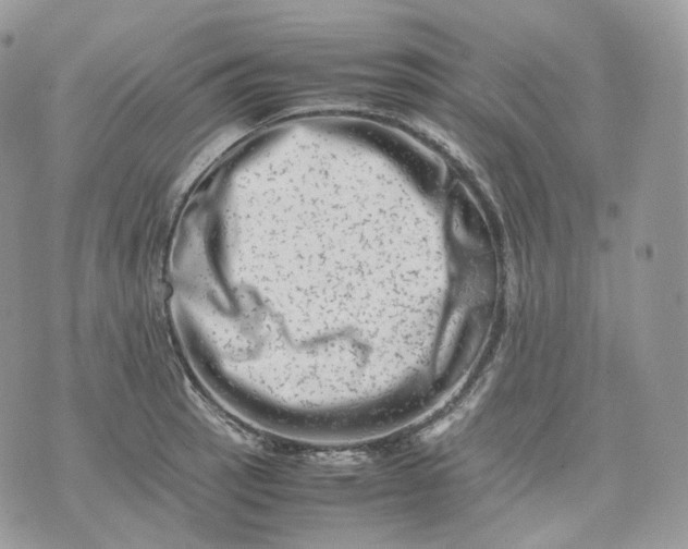 X0000075361137200609291454