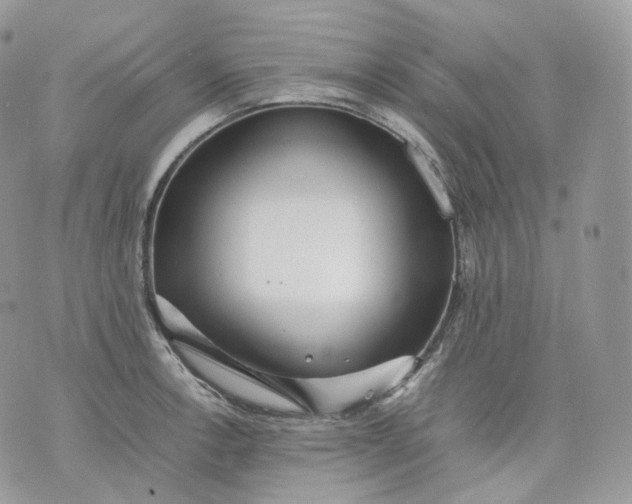 X0000075361138200609291454