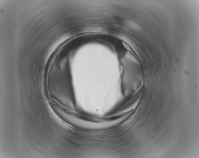 X0000075361139200609291454