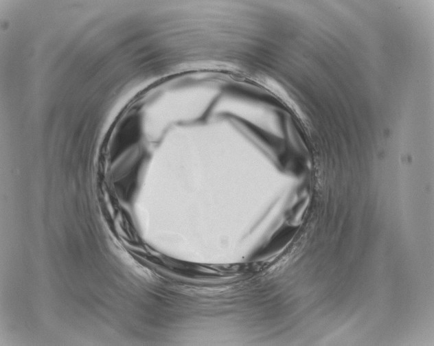 X0000075361140200609291454