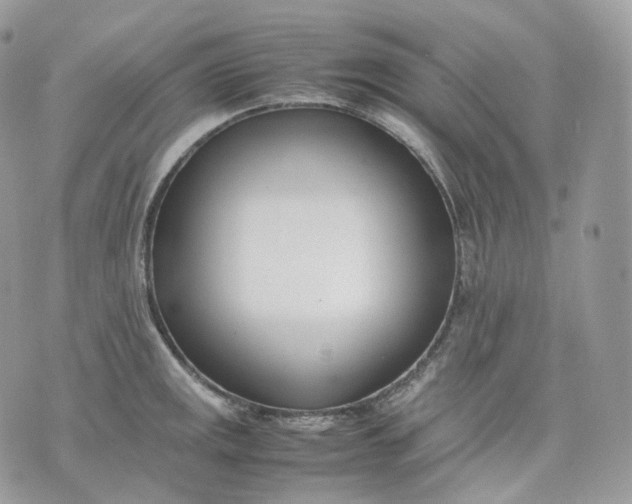 X0000075361141200609291454