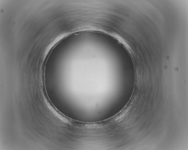 X0000075361142200609291454