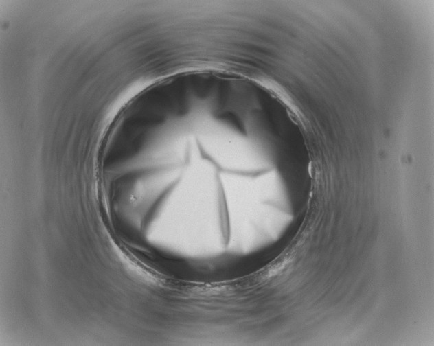 X0000075361143200609291454