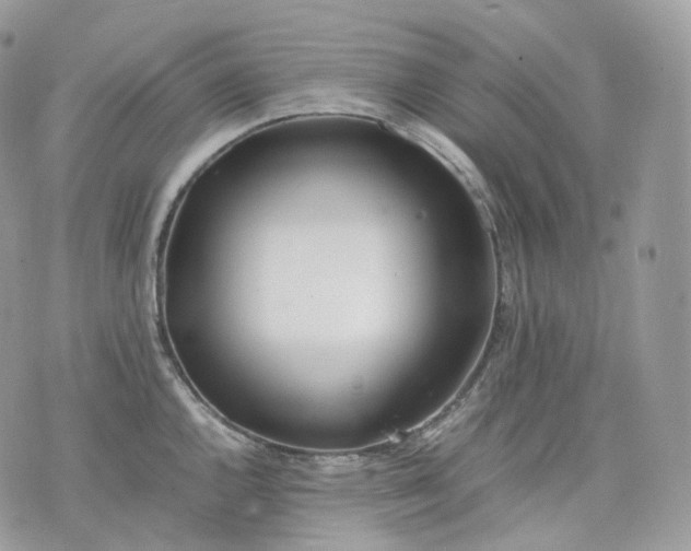 X0000075361144200609291454