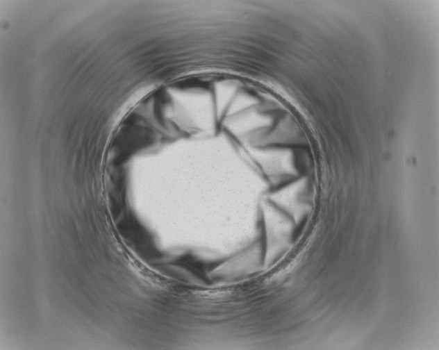 X0000075361145200609291454