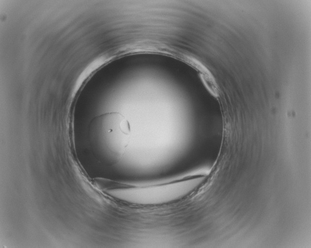 X0000075361146200609291454