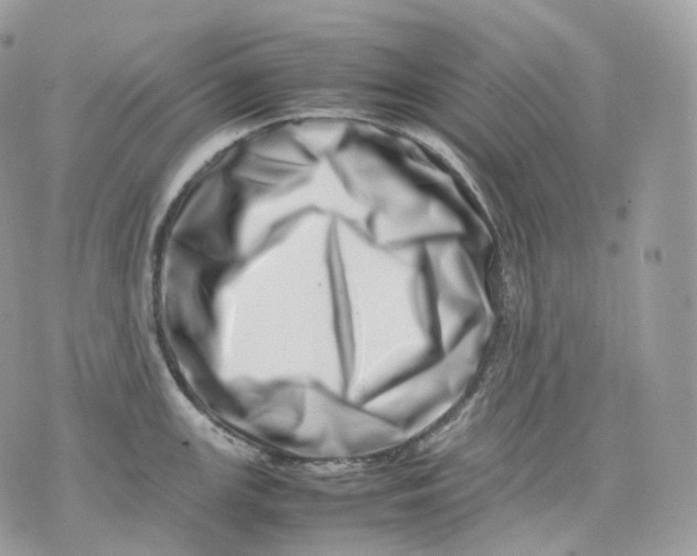 X0000075361147200609291454