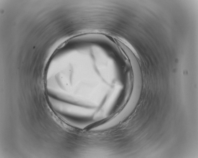 X0000075361148200609291454