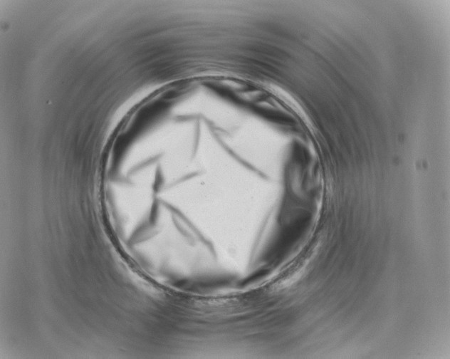 X0000075361149200609291454