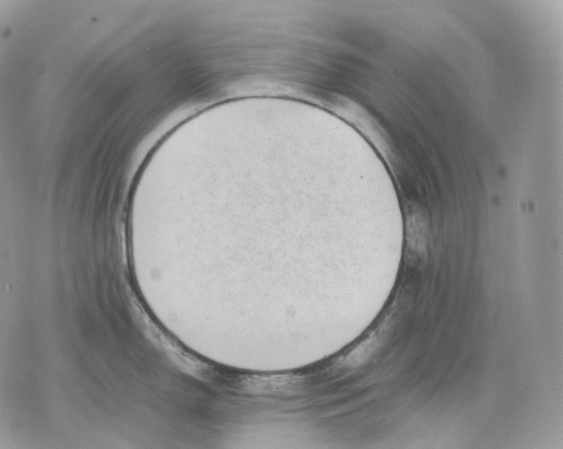 X0000075361150200609291454