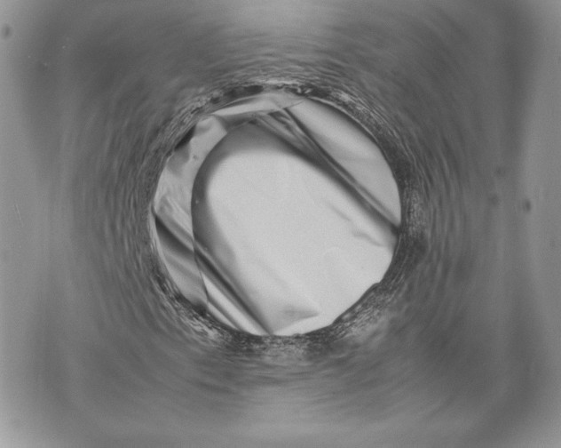 X0000075361153200609291454