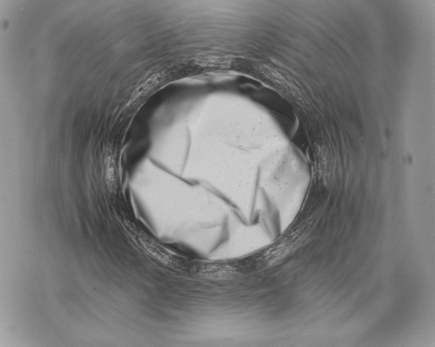 X0000075361154200609291454