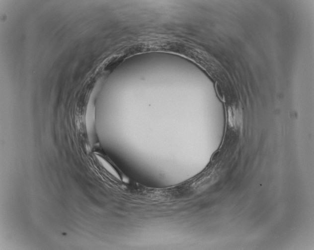 X0000075361155200609291454