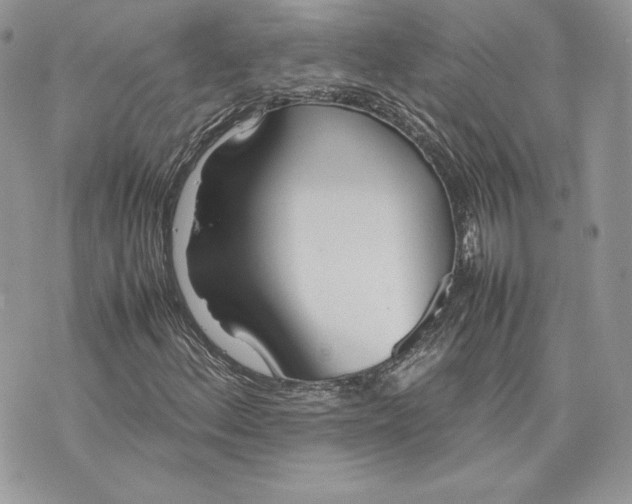 X0000075361156200609291454