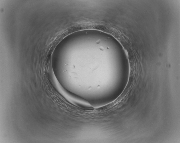 X0000075361157200609291454