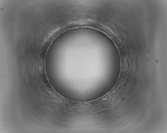 X0000075361158200609291454