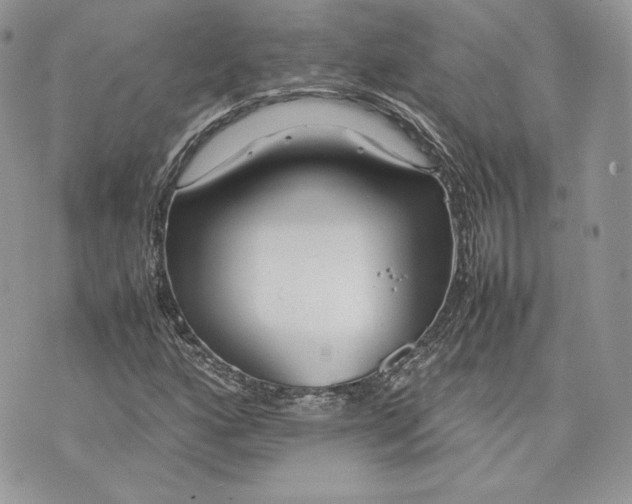 X0000075361160200609291454