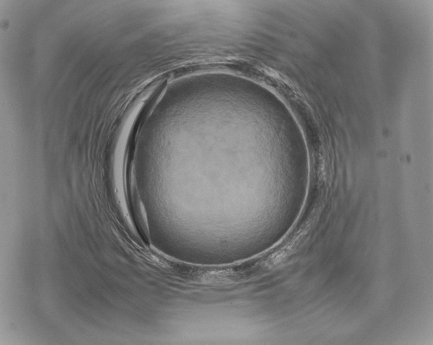 X0000075361161200609291454