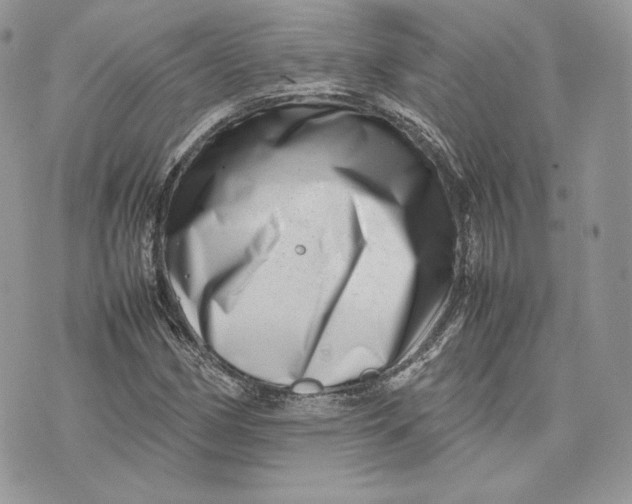 X0000075361162200609291453